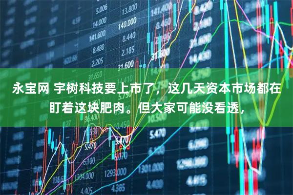 永宝网 宇树科技要上市了，这几天资本市场都在盯着这块肥肉。但大家可能没看透，